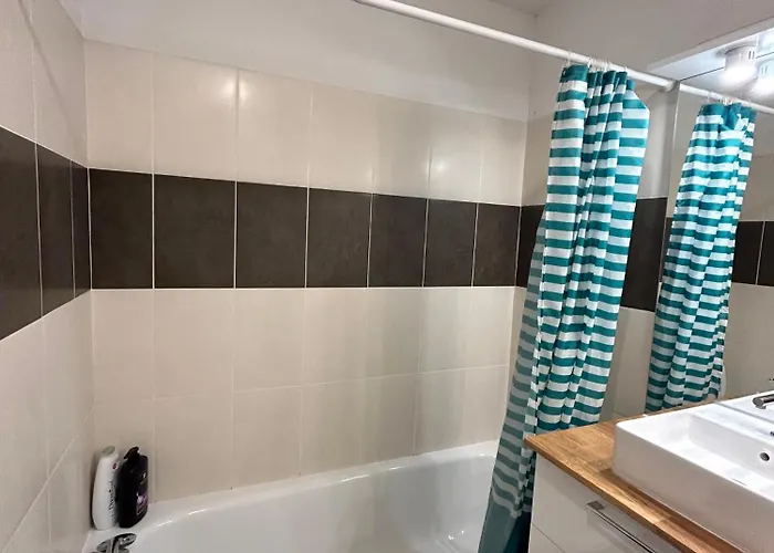 Apartman L'emile Lecrivain Parking Facile Toulouse